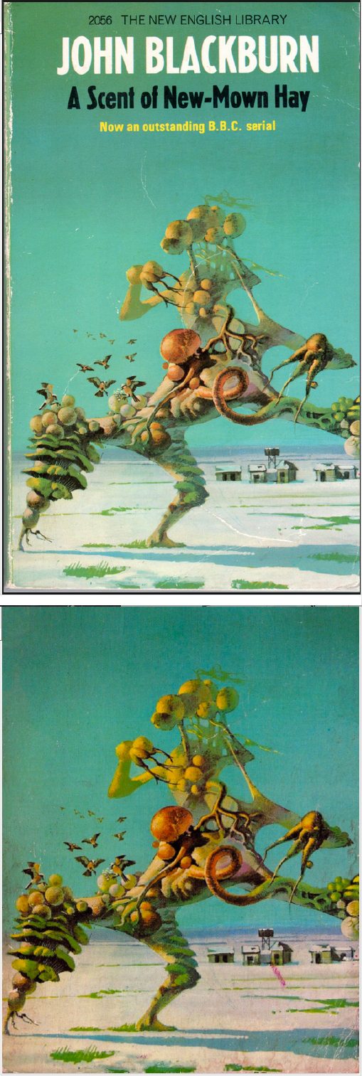 BRUCE PENNINGTON - A Scent of New-Mown Hay 	Oct 1968 	John Blackburn 	New English Library - cover by isfdb