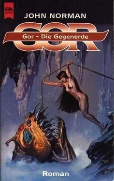Gor Covers Art Boris Vallejo, Gor 1: Gor, the Counterearth (the German title for Tarnsman of Gor).