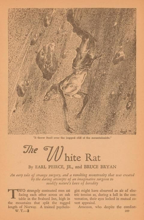 Virgil Finlay for Weird Tales 's visual Art Virgil Finlay, The White Rat by Earl Pierce, Jr., and Bruce Bryan, Weird Tales 38-9.