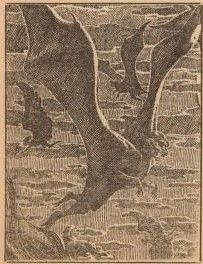 Virgil Finlay for Weird Tales 's visual Art Virgil Finlay, The Supreme Witch by Appleby Terrill, Weird Tales 53-03, p.87.