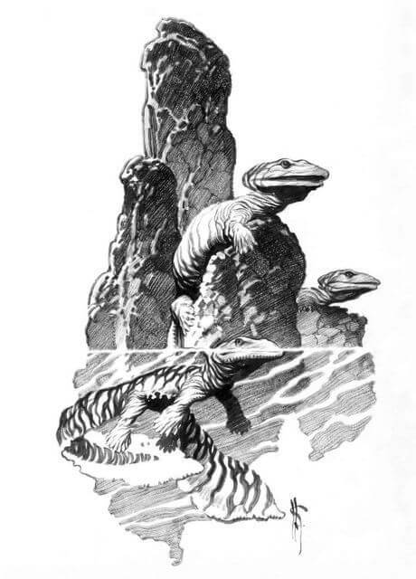 Mark Schultz's visual Art Mark Schultz, Acanthostega, a Devonian amphibian, may have been one of the first vertebrates to come ashore. However, its limbs were splayed out to the side so it probably spent most of its time navigating swamps. From Various Drawings Vol. 1, p.6.