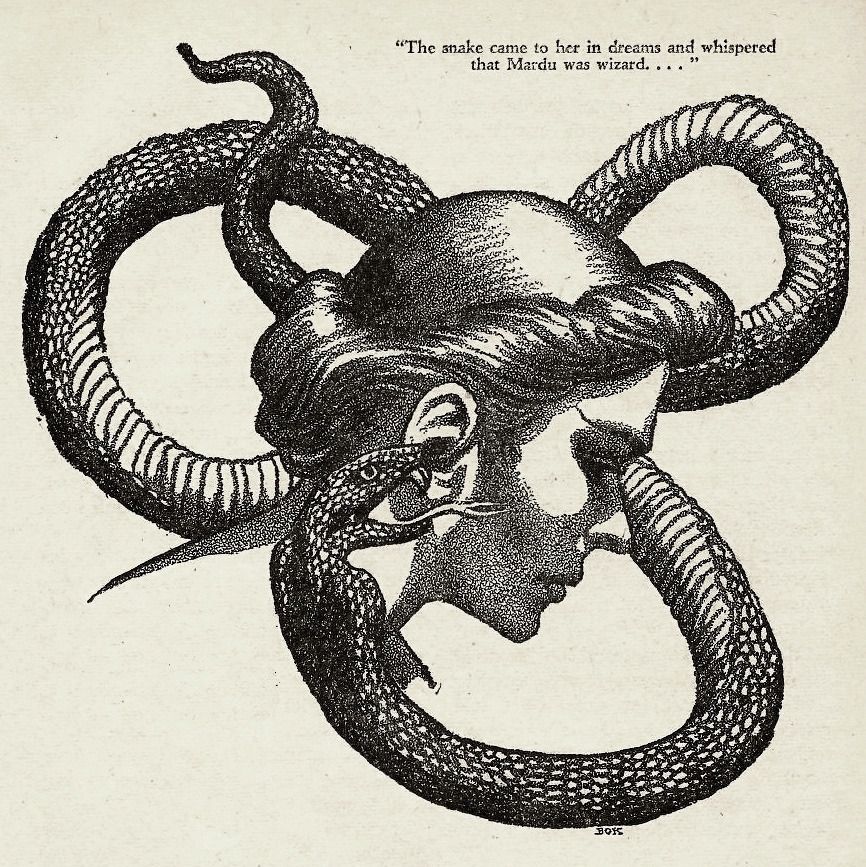 Hannes Bok's Covers Art Hannes Bok, Beauty's Beast by Robert Bloch, Weird Tales V34N9, 41-05, p.41. Blurb: That pet shop was a very strange place indeed.