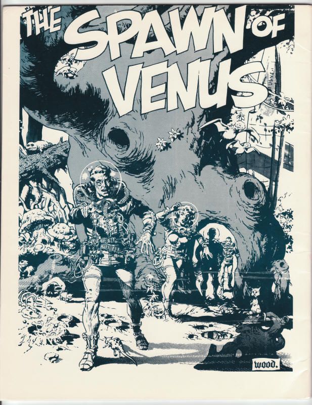 Wally Wood's Visionary Art Art Fantastique #2 back cover artwork by Wally Wood $30