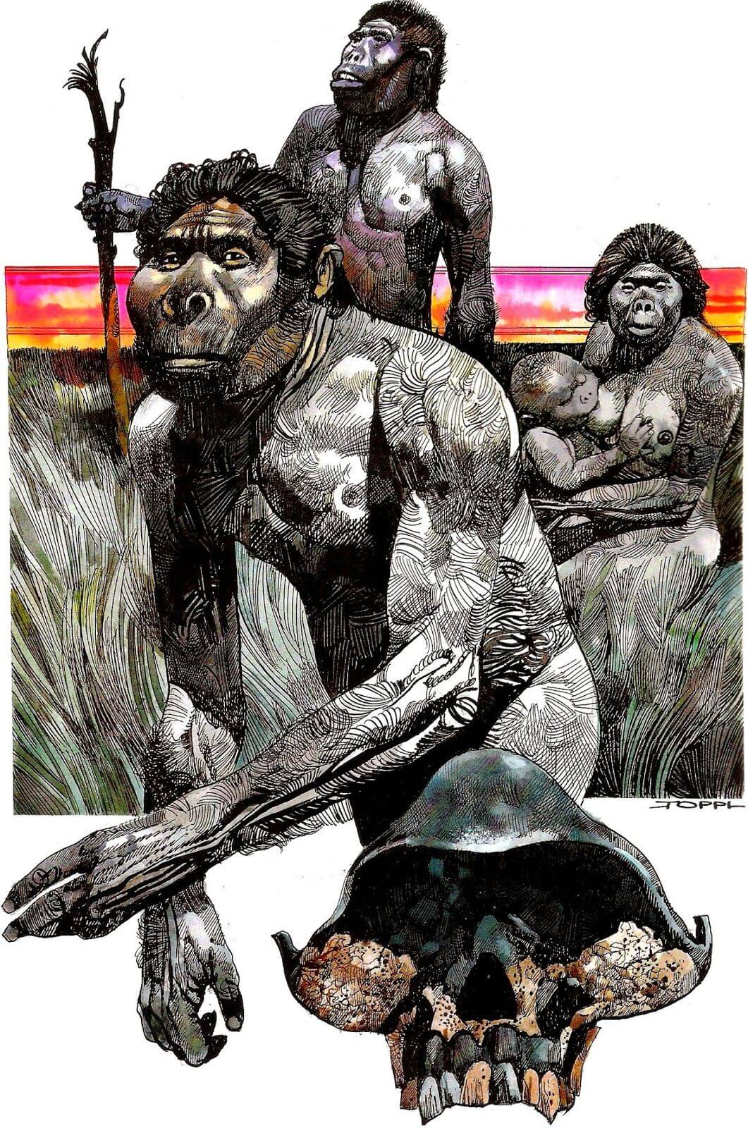 Sergio Toppi's visual Art Homo Erectus.