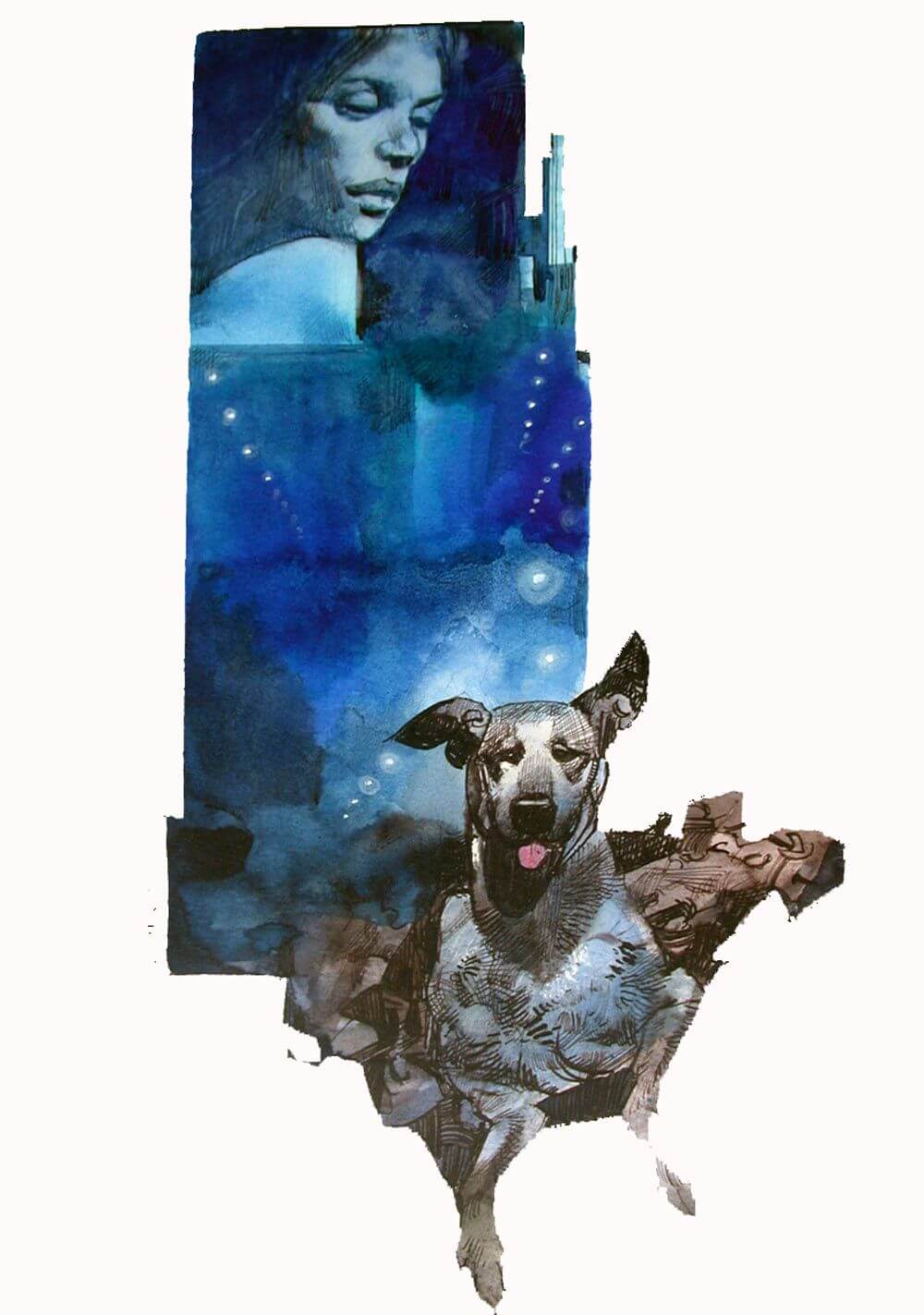 Sergio Toppi's visual Art Semplicemente Sergio Toppi, il Signore del fumetto.