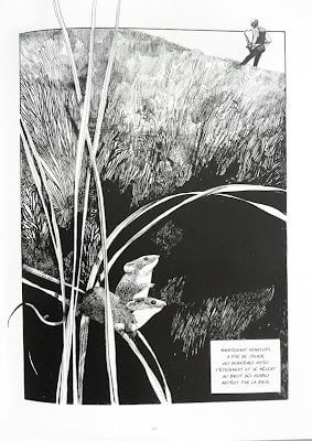 Sergio Toppi's visual Art Sergio Toppi