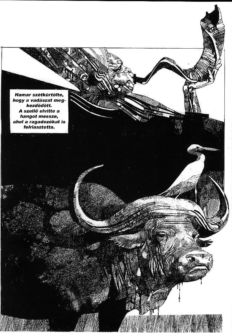 Sergio Toppi's visual Art Sergio Toppi, a personal memory