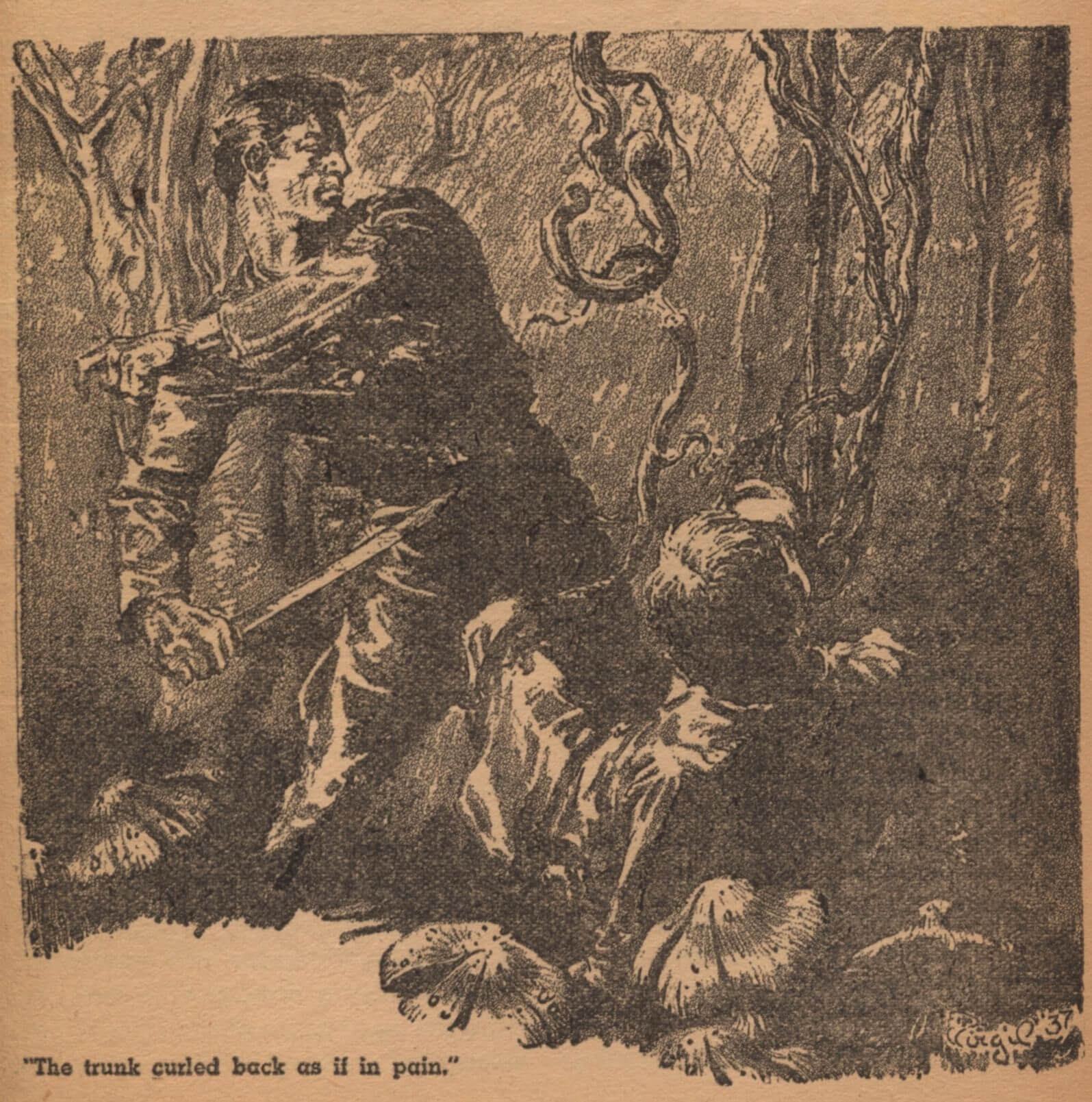 Virgil Finlay for Weird Tales 's visual Art Virgil Finlay, Forest of Evil by John Murray Reynolds, Weird Tales 38-04.