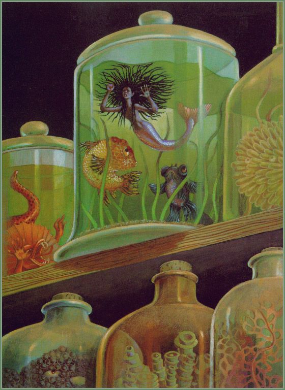 Leo and Diane Dillon's visual Art illustrations by leo and diane dillon from 