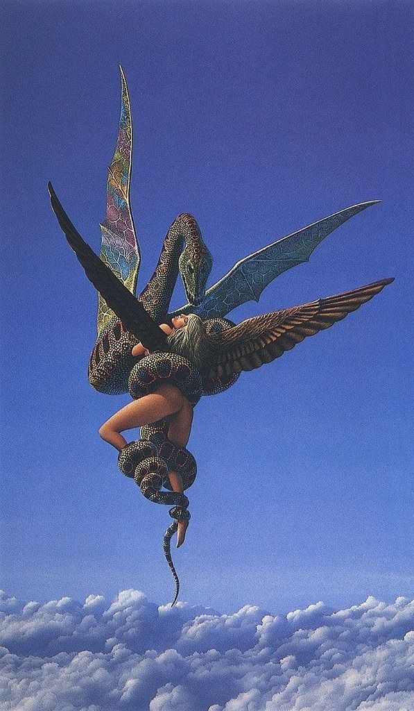 其中包括图片：