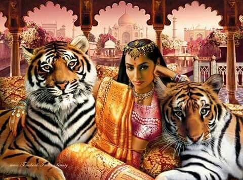 其中包括图片：