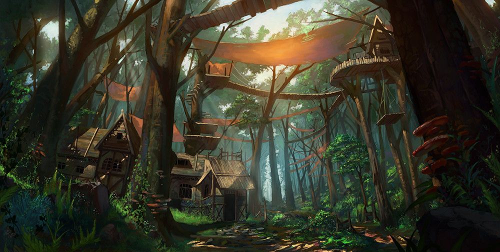 其中包括图片：forest, lee jay